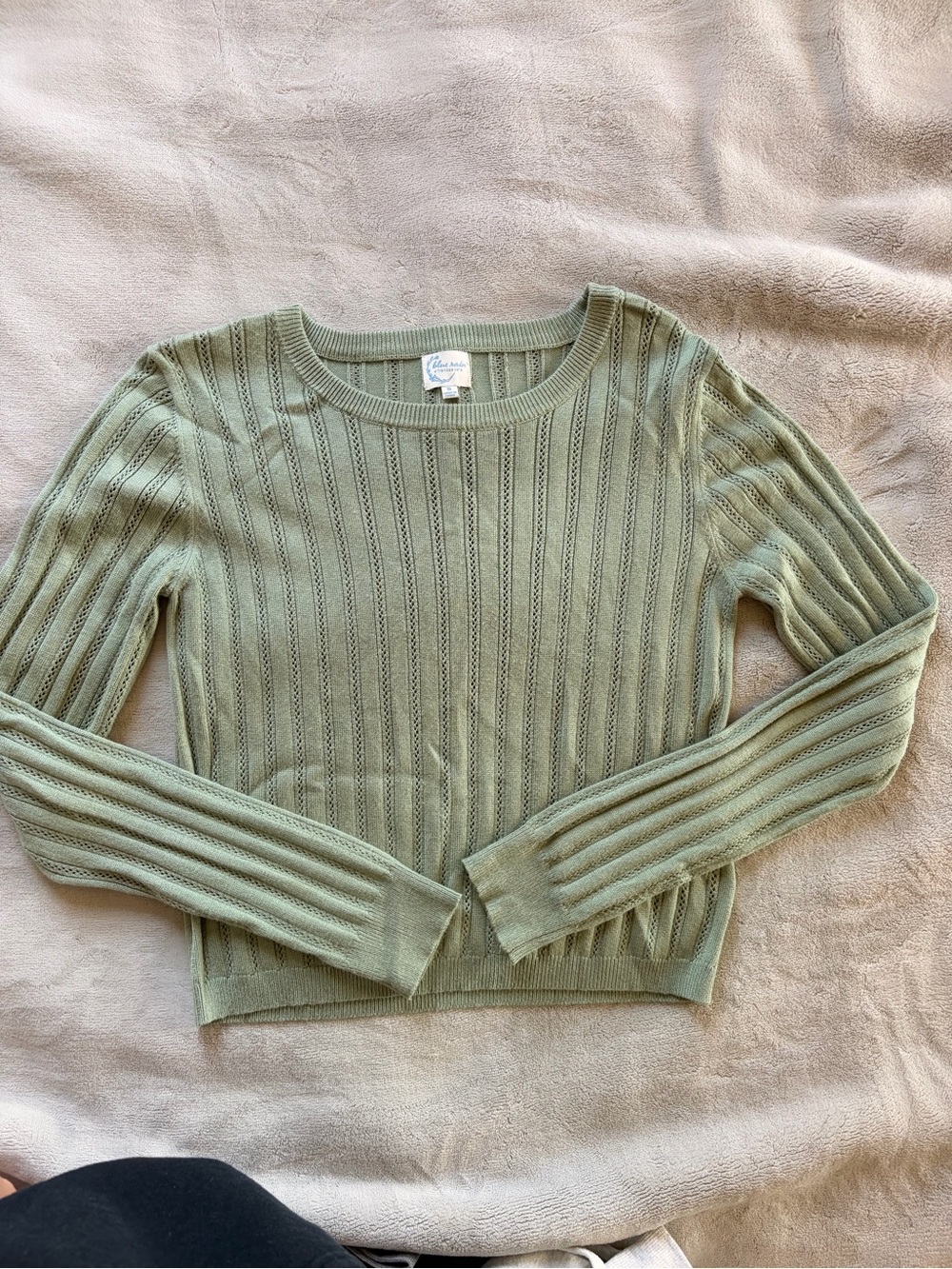 Francesca's Collections Light Sage Green Ribbed Scoop Neck Sweater